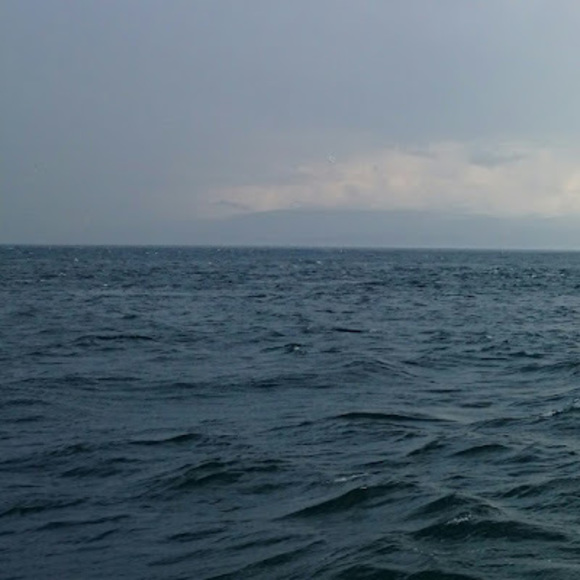 Meet your Posher, Kelsey - Picture 1 of 1